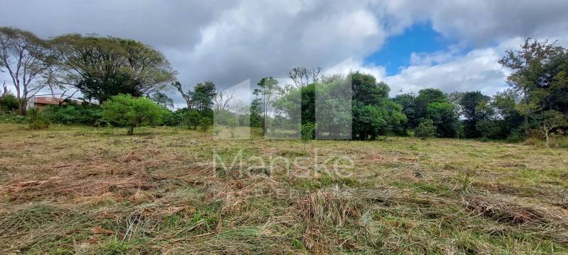 3 Hectares em Obligado