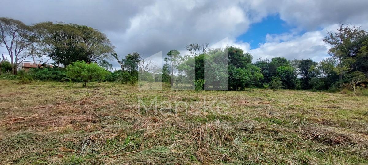 3 Hectares em Obligado
