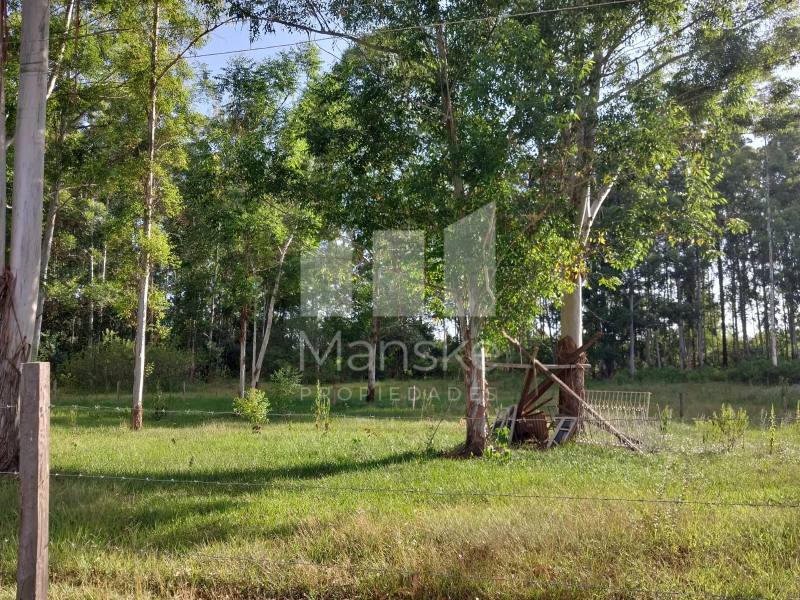 Quase 5 Hectares em San Luis de Carmen Del Paraná